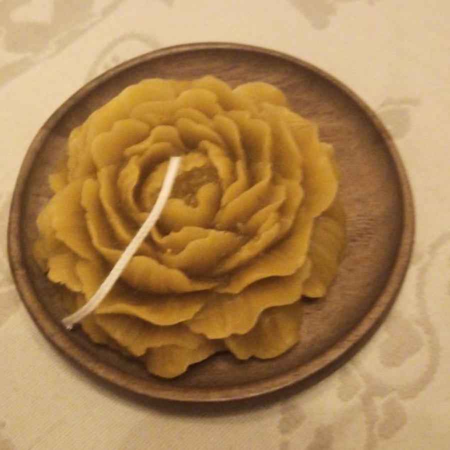 Candela in cera d'api a forma di grande peonia