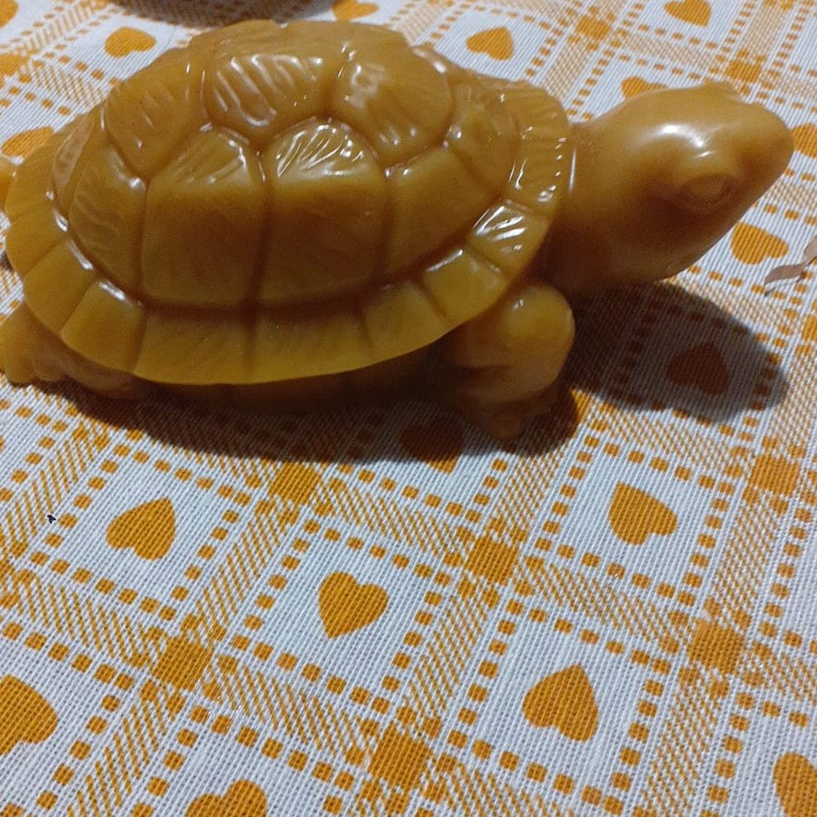 Tartaruga in cera d'api col carapace inciso a scudi