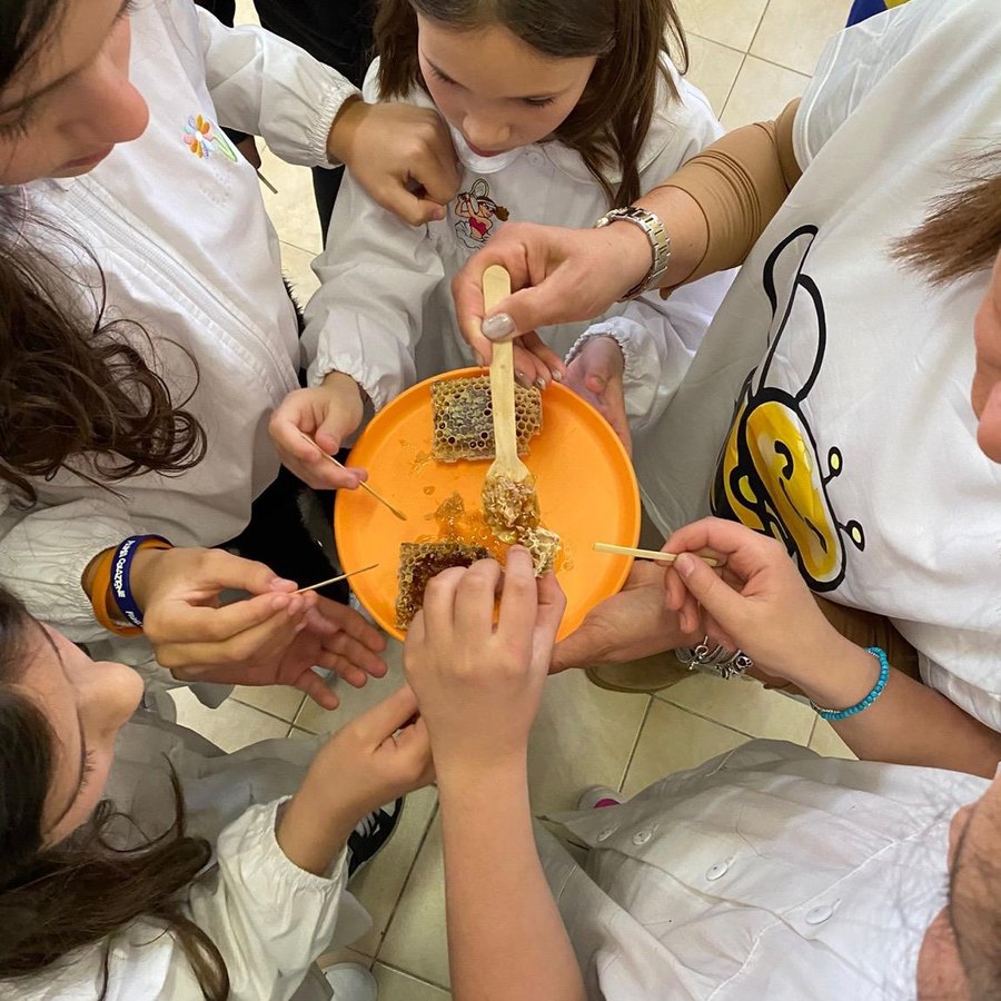 I bambini stretti in cerchio attorno al piatto col favo