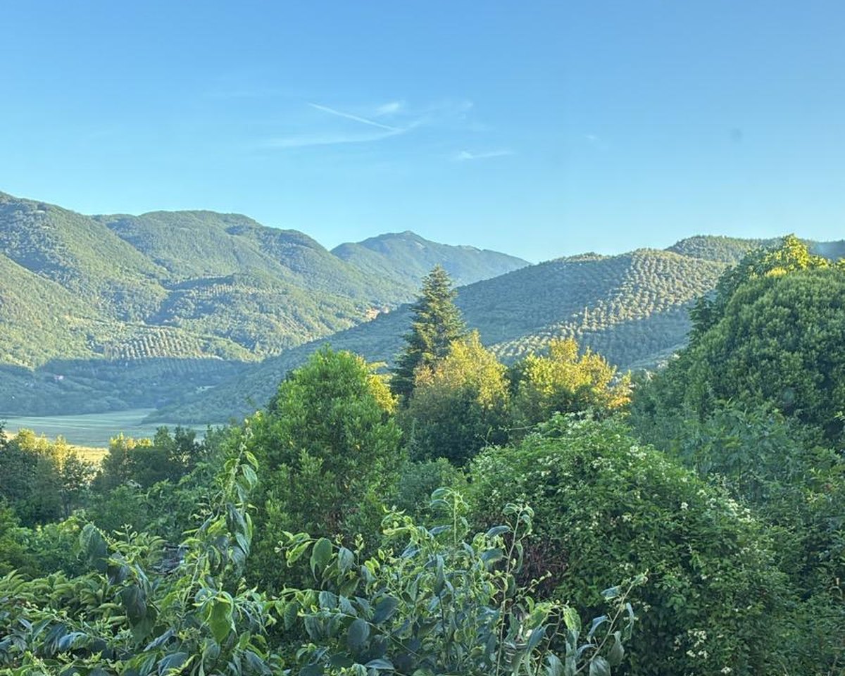 La valle dell'Aniene vista dall'alto, con gli uliveti a filari sui versanti